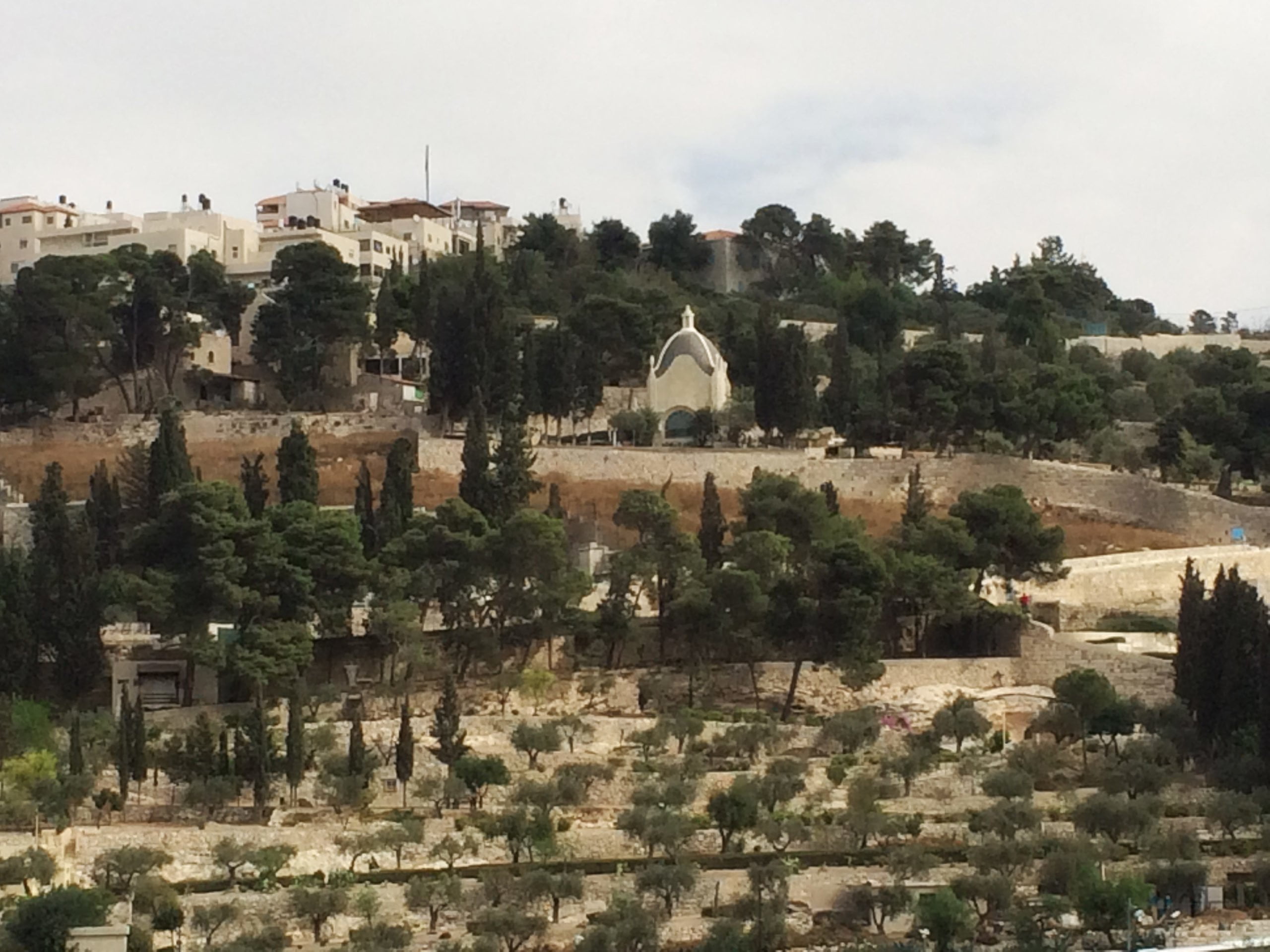 Pilgrimage to Holy Land - Israel 4